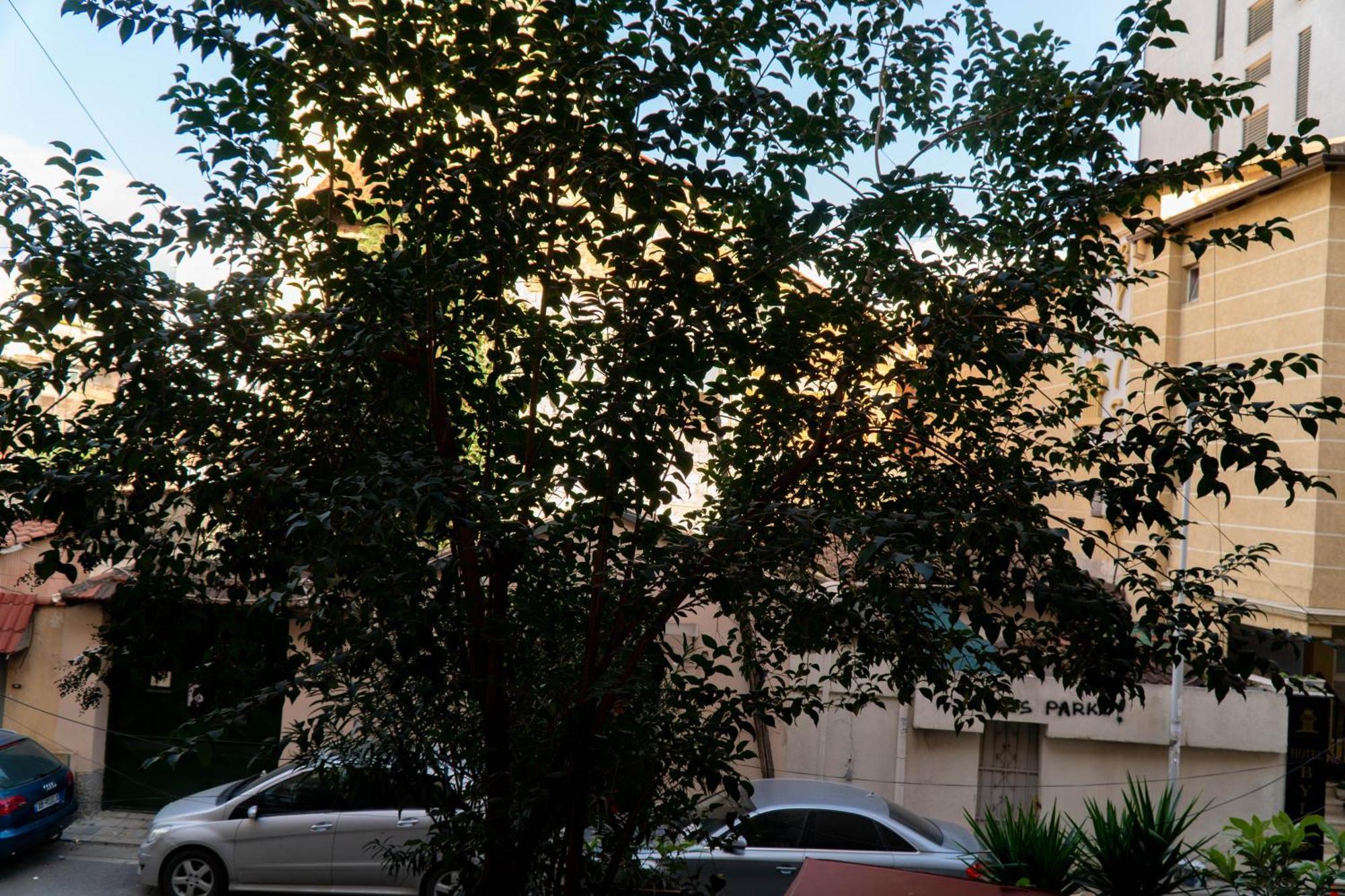Signature Apartment 8 地拉那 外观 照片